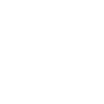 COB AI